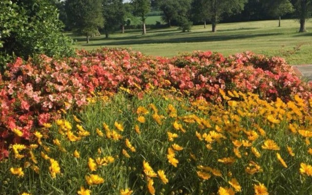 The Mansion at Red Hill