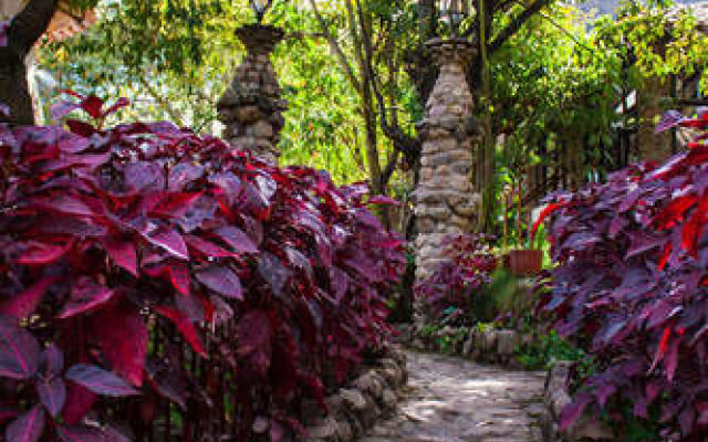 Hostal Casa de Campo Urubamba