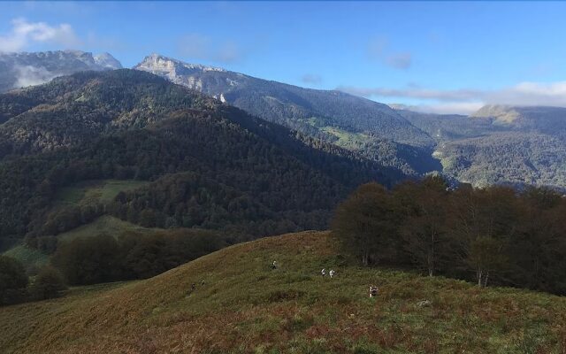 Les chalets de la forêt d'Issaux