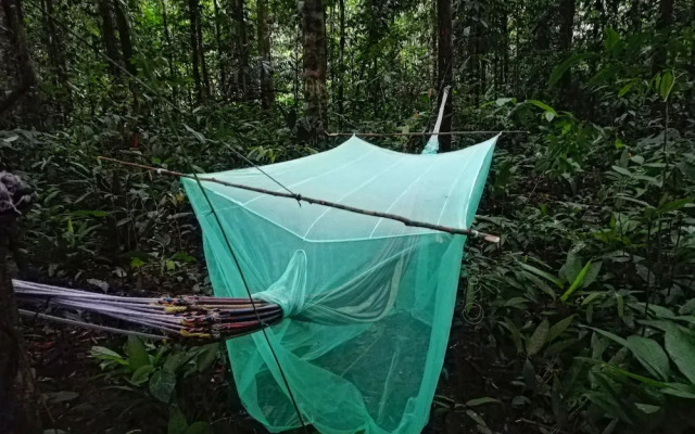 Hostal Búho Amazonas Tours - Hostel