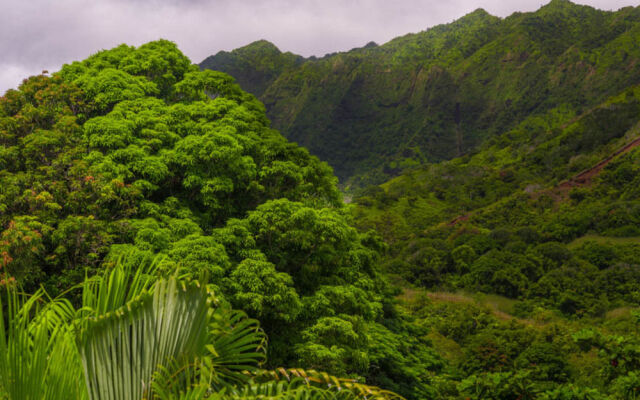 Hale Ho'o Maha Bed & Breakfast