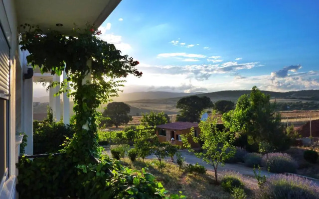Vineyard Country House with Panoramic Seaview