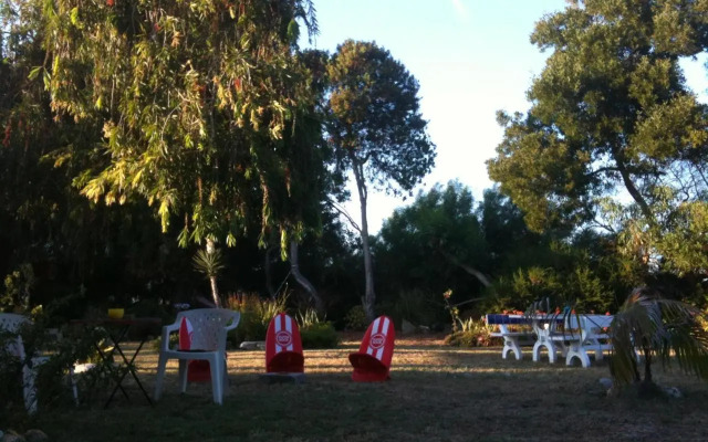 Alentejo Pig dog surf camp