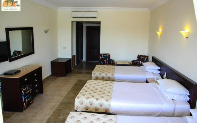 Viva Sharm Hotel