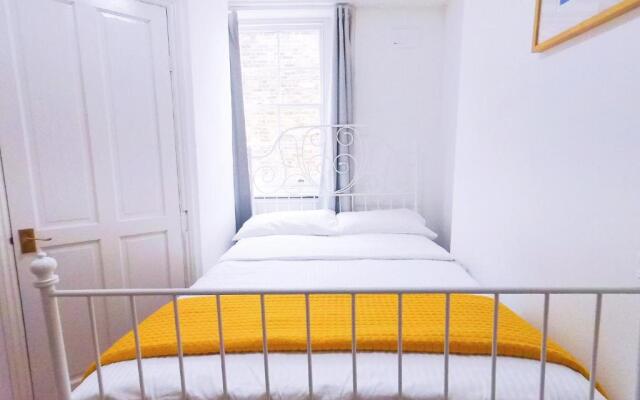 Orchid 2 At Baker Street