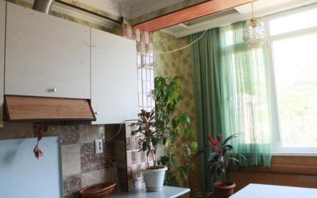 Apartment on Abazgaa 53/3