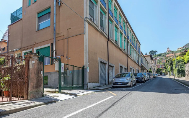 Suore Figlie di San Francesco di Sales