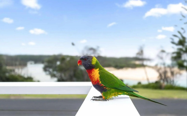 SurfBreak on Seaside