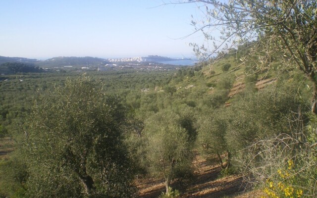 B&B Macchiaria