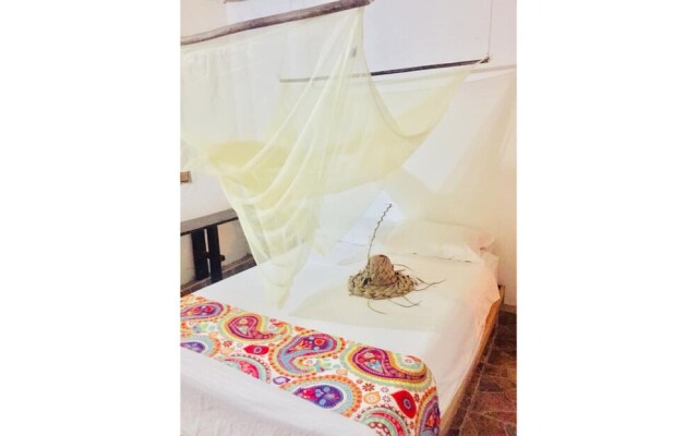 Palomino Hostel by T2L