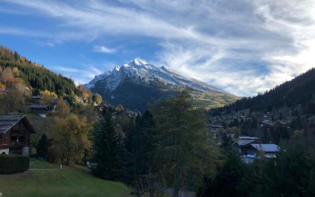 Appartement La Clusaz, 3 pièces, 6 personnes - FR-1-459-136