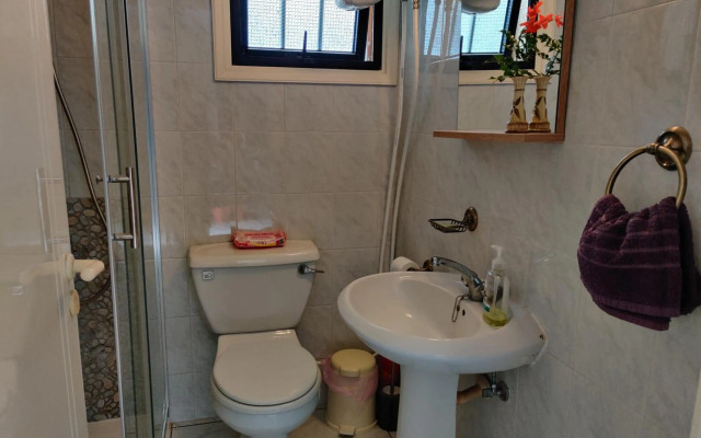 Palm garden paradise