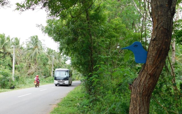 Yala Avian Eye Safari