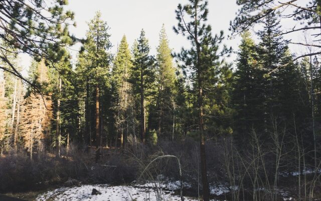 3048 Aspen Grove
