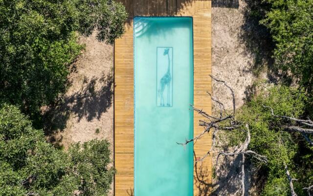 Royal Tree Lodge