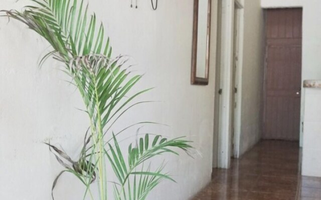 Guesthouse Morpho CR