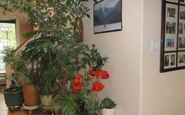 Mountainview Bed & Breakfast