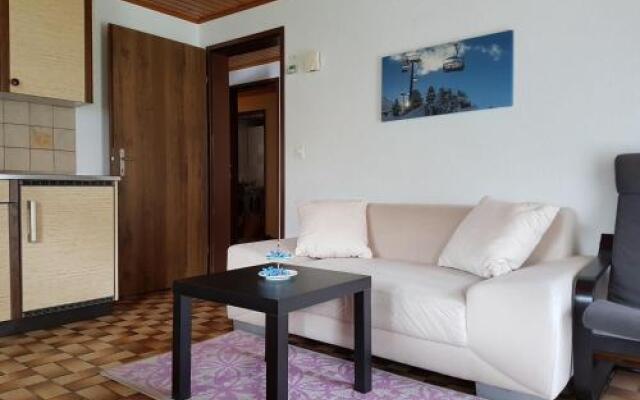 Chalet Schneevogul