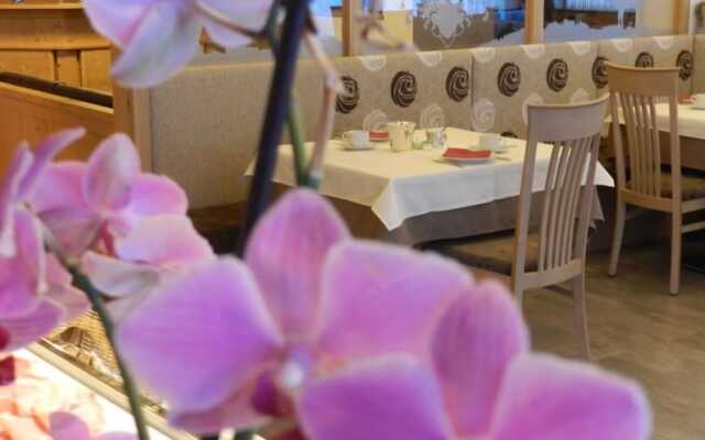 Garni Apartments Mezdi