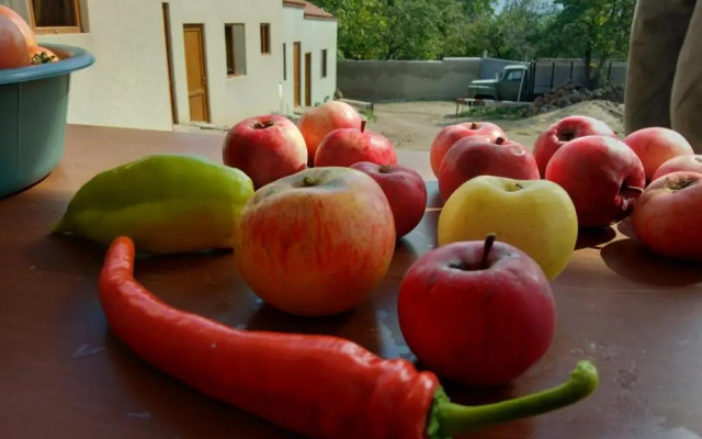 Saro B&B And Safari Tours