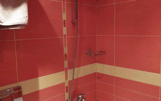 BOROVETS Royal Plaza - A405