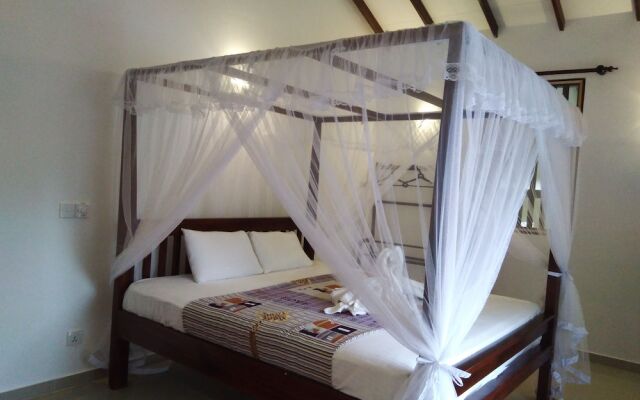 Galle Cemellia