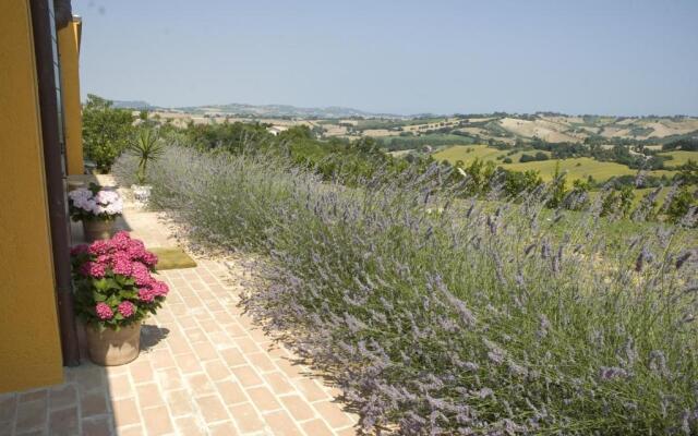 Country House Il Sassòne