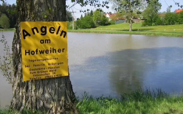 Pension Zum Grünen Wald