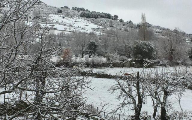 La Higuera Y El Nogal