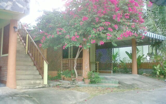 Aree Guesthouse 3