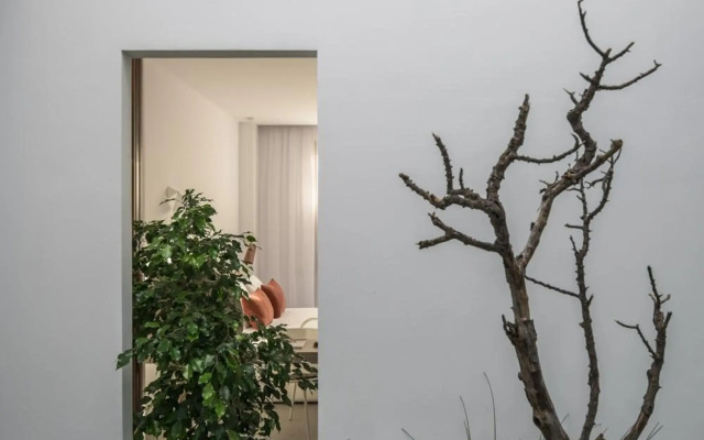 Villa Mimaze Minimalist Living