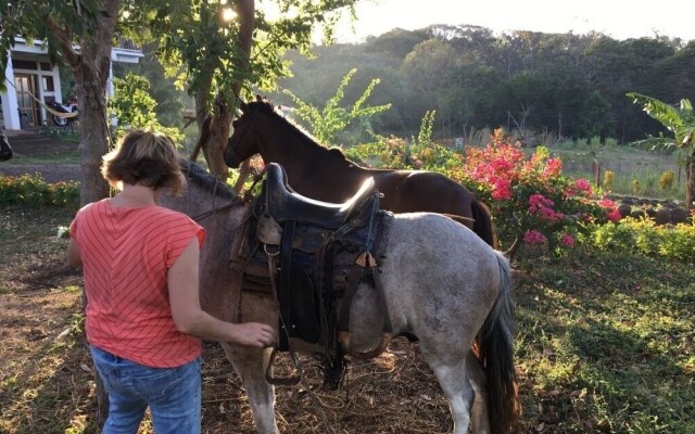 Finca Ometepe