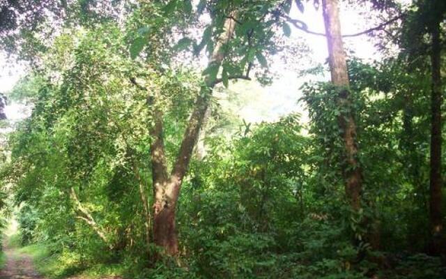 Great Hornbill Serviced Villa , Nilambur