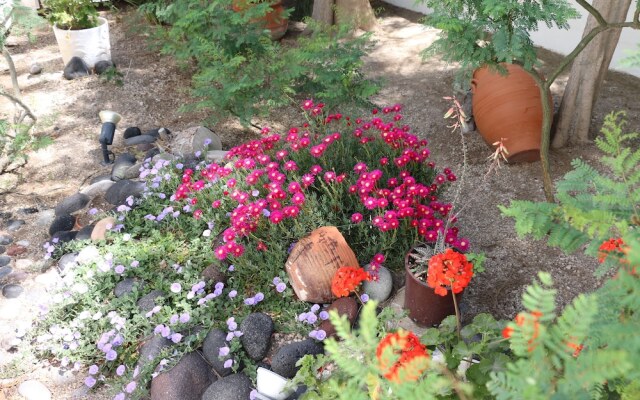 Spiros & Hiroko Hotel - Adults Only