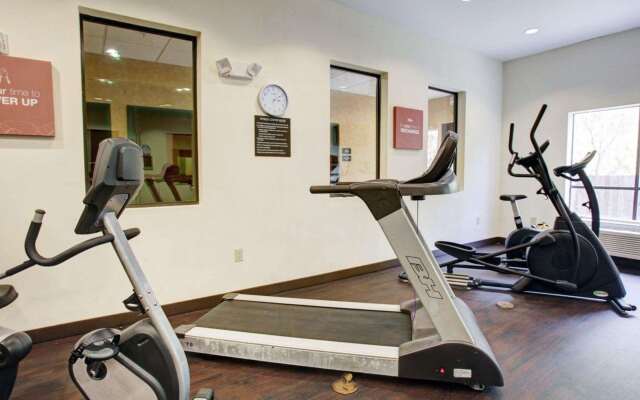 Comfort Suites Old Town Spring