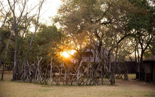 Mziki Safari Lodge
