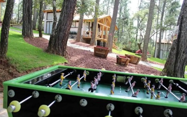 Cabañas La Vid Del Bosque