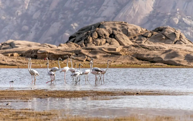 Lords Eco Inn Jawai-Sumerpur