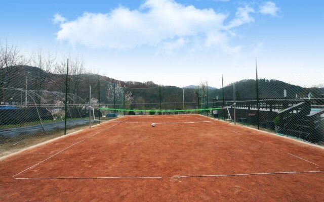 Forest of Color Pension