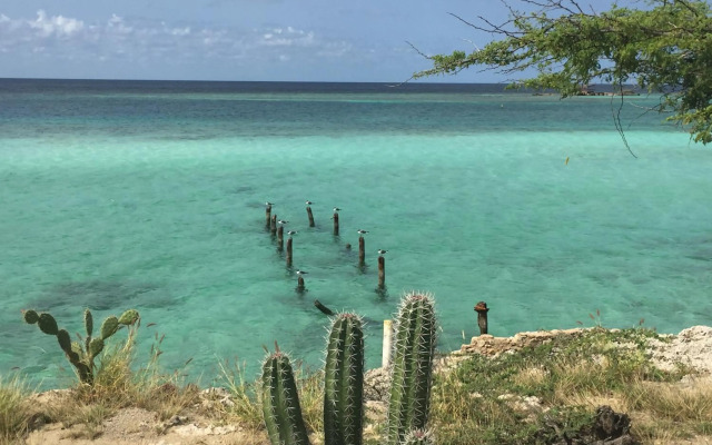 Anaté Beach Apartments, Mangel Alto