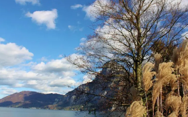 Ferienwohnungen Walk