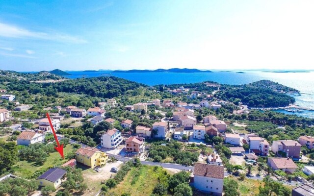 Iva - Great Garden - H