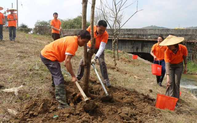 Banyan Tree Tengchong
