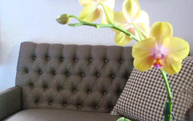 Casa Embrujo Morelia - Boutique