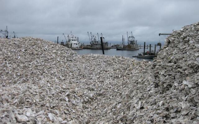 Historic 1920s Cabin