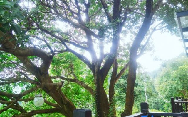 Yard Homestay