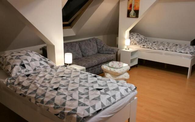 Attic Oelsnitz am Hegebach mit Netflix und Parkplatz Self Check-in