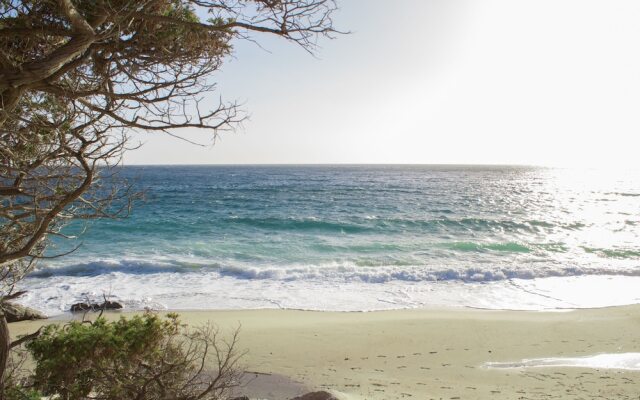 Bellavista Apartment