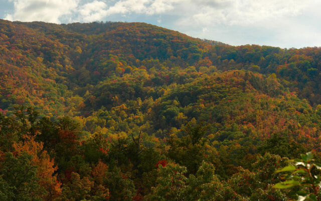 Affordable Cabins In The Smokies