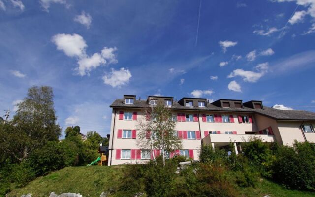 Schwendihaus Apartment